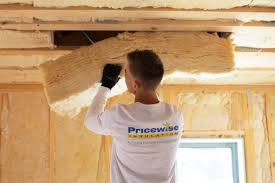 Best Commercial Insulation Services  in Bellevue, IA