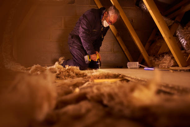 Best Insulation Removal  in Bellevue, IA